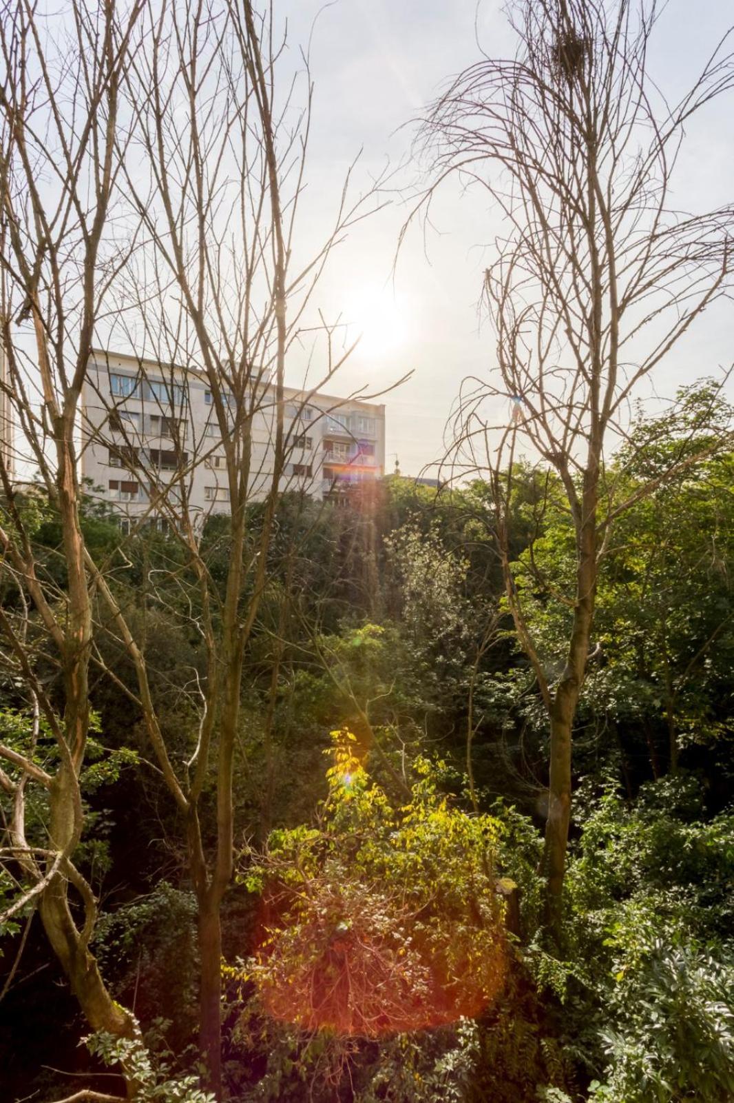 Appartement Calme Dans La Verdure 16e Parijs